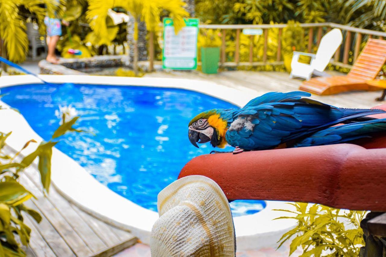 Casa Hostal Villa Del Rio El Zaino Dış mekan fotoğraf